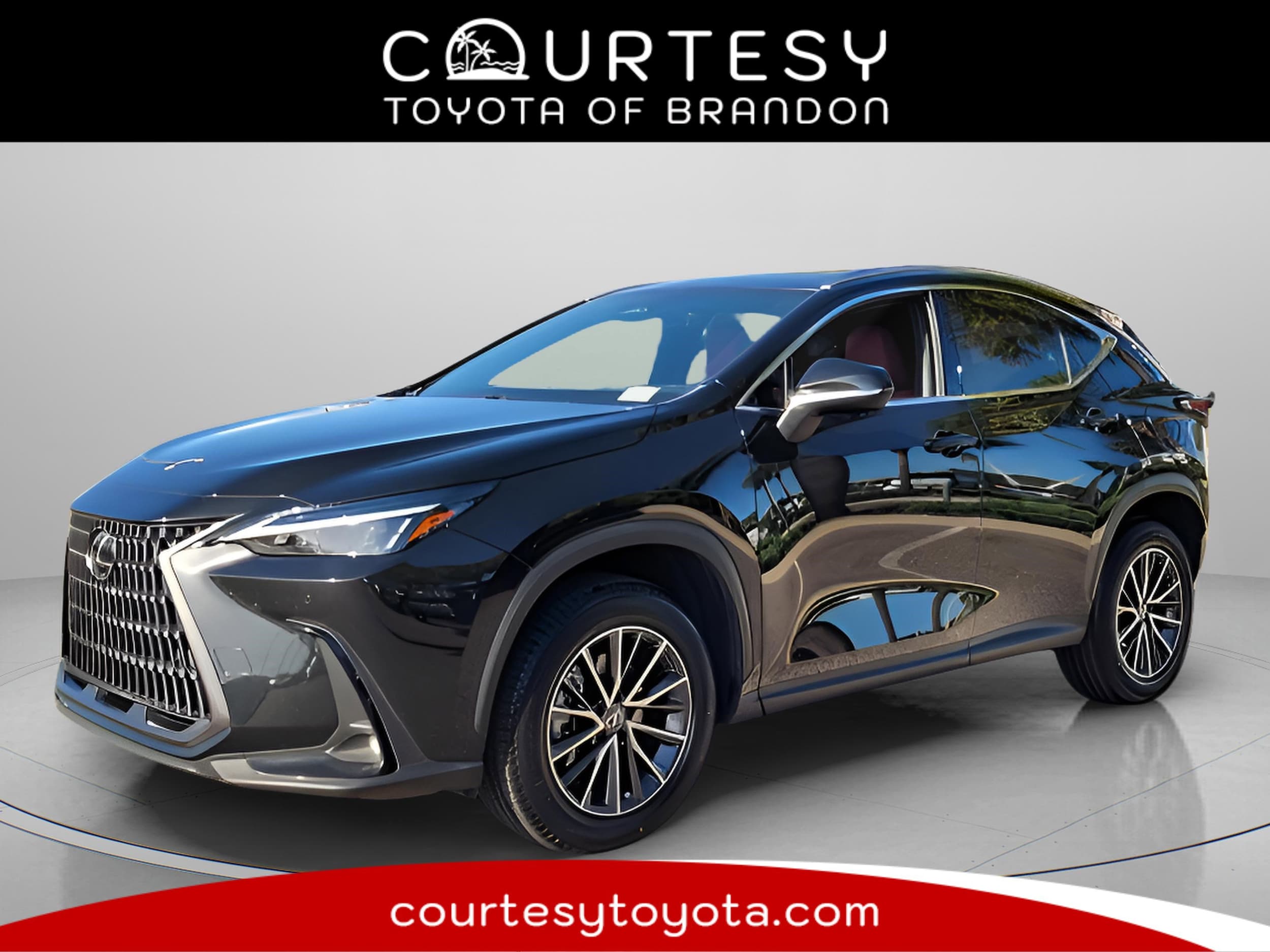 2024 Lexus NX 350's photo