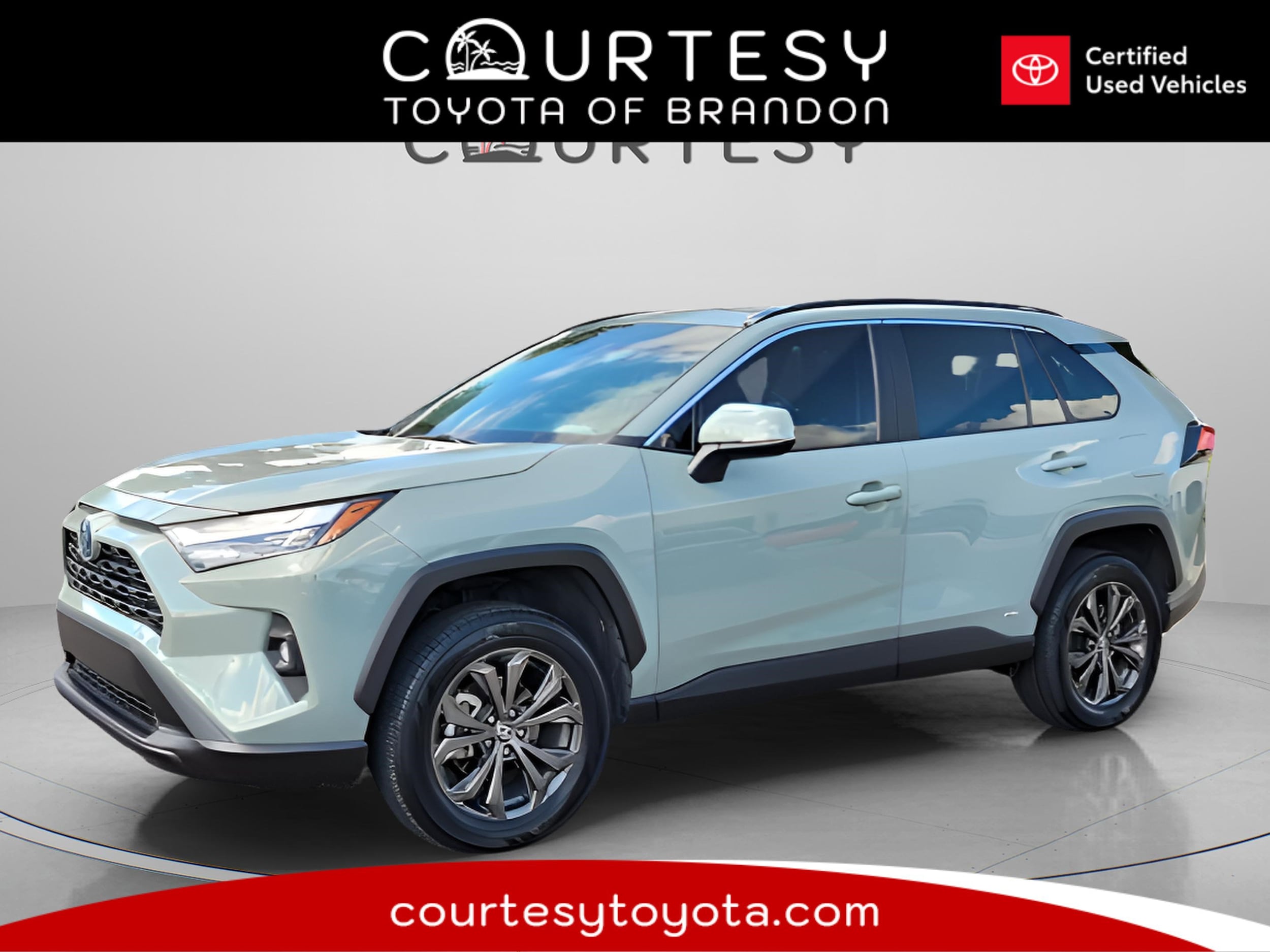 2023 Toyota RAV4 XLE Premium's photo