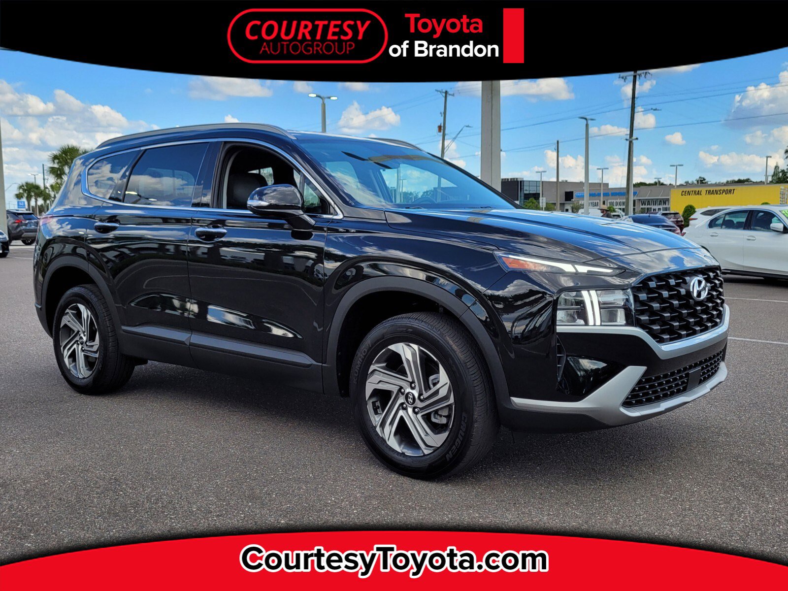 Top 40+ images brandon hyundai tampa fl In.thptnganamst.edu.vn