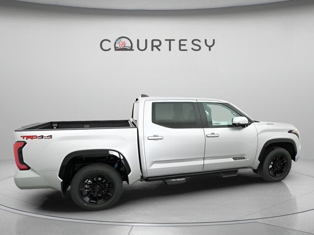2025 Toyota Tundra Platinum - Photo 17