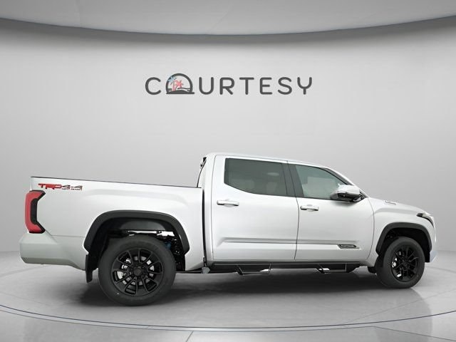 2025 Toyota Tundra Platinum - Photo 18