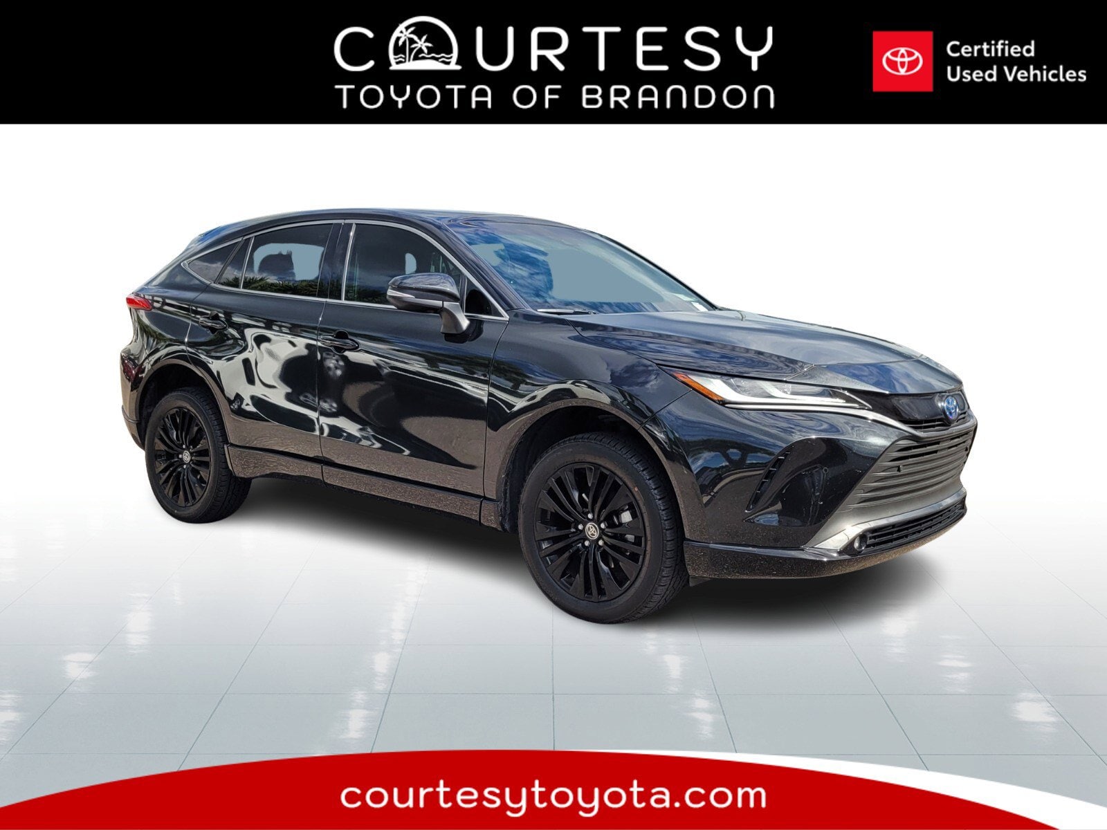 2024 Toyota Venza