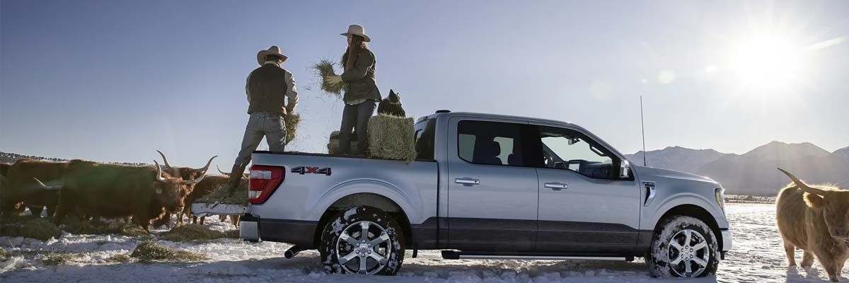 2021 Ford F-150 In Round Rock Is A Pack Leader