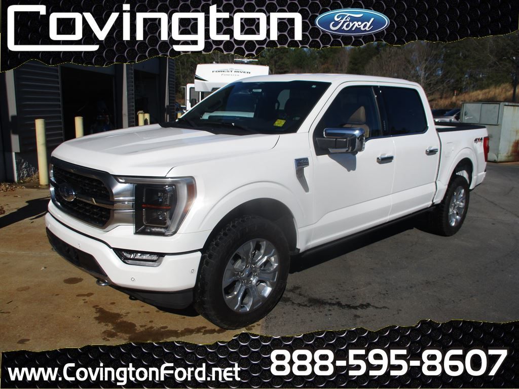 2023 Ford F-150 Platinum's photo