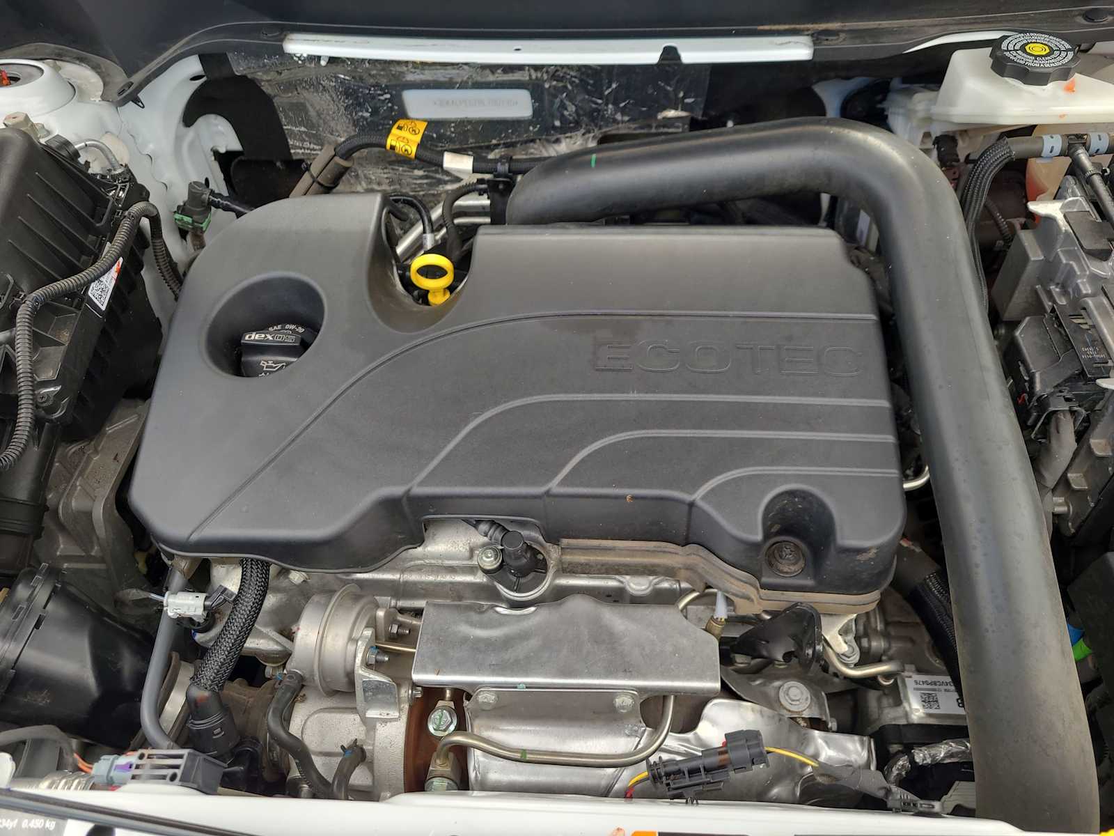 Thumbnail: 2024 GMC Terrain - 17