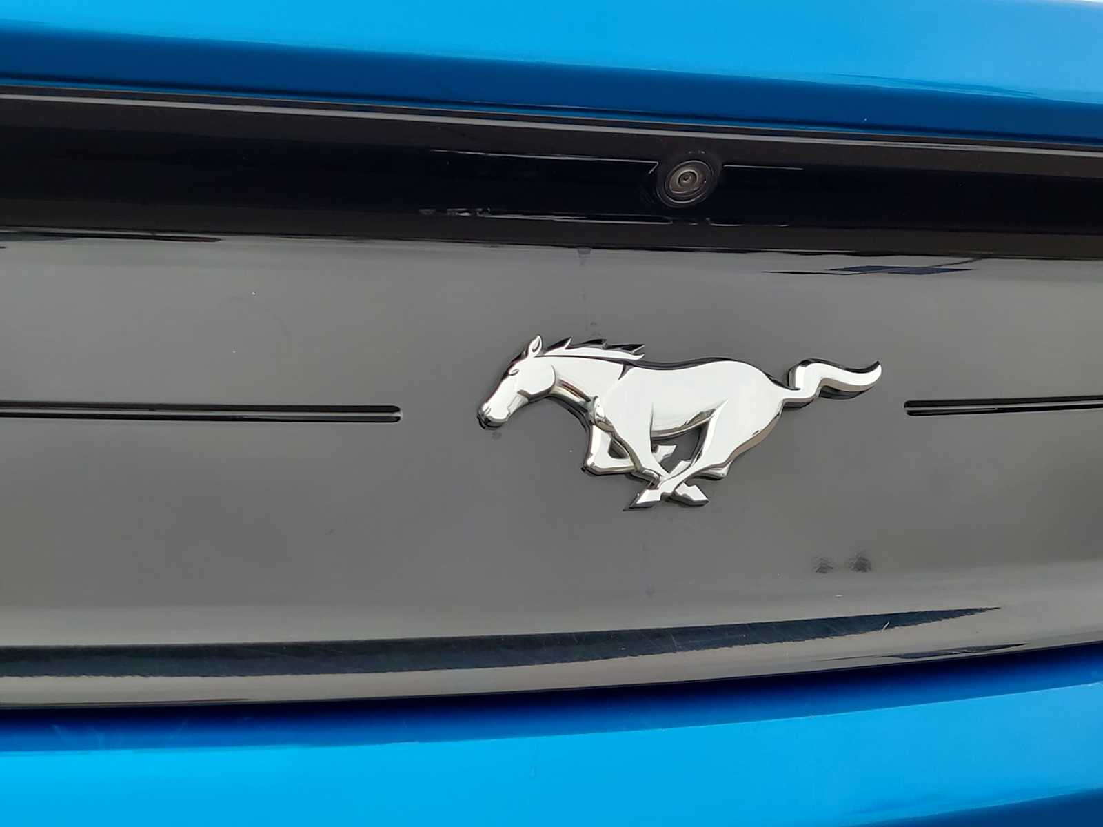 Thumbnail: 2020 Ford Mustang - 15