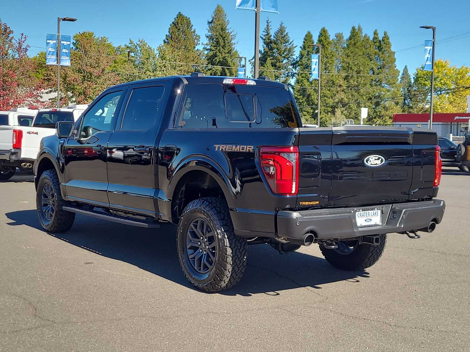 Thumbnail: 2025 Ford F-150 - 12