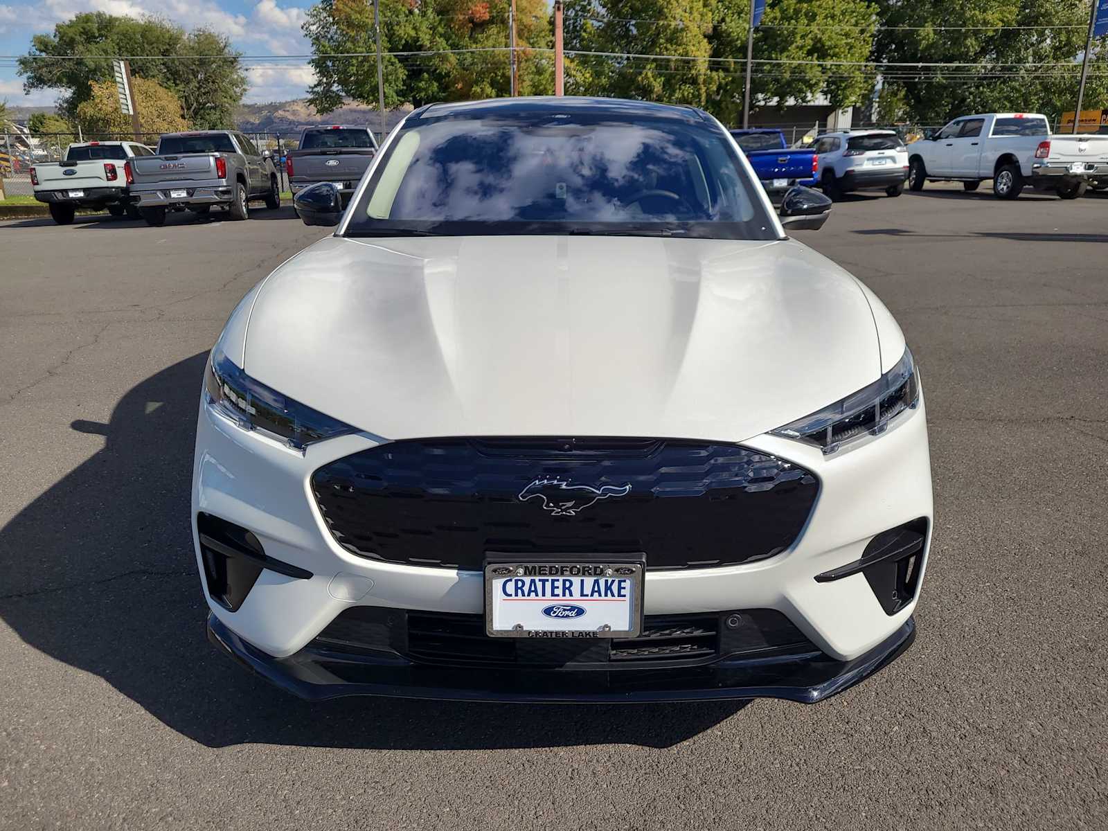 Thumbnail: 2025 Ford Mustang Mach-E - 14