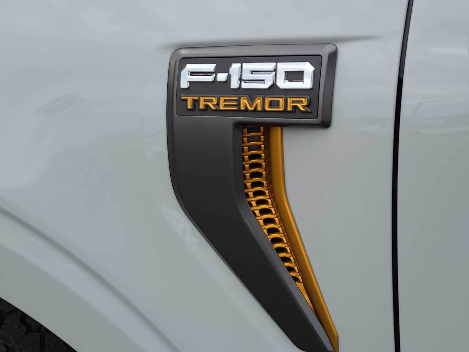 2024 Ford F-150 Tremor 15