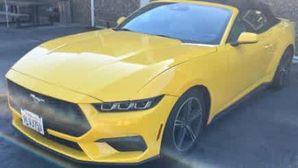 2024 Ford Mustang EcoBoost Premium Convertible's photo