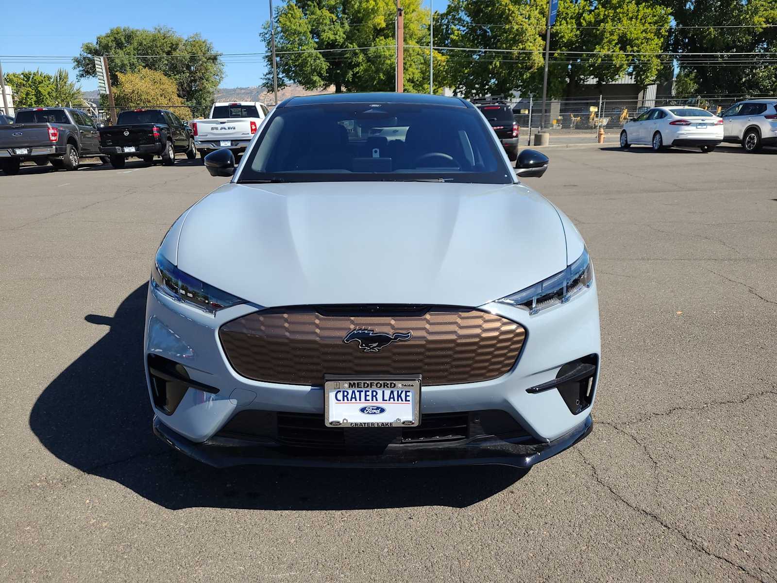 Thumbnail: 2025 Ford Mustang Mach-E - 14