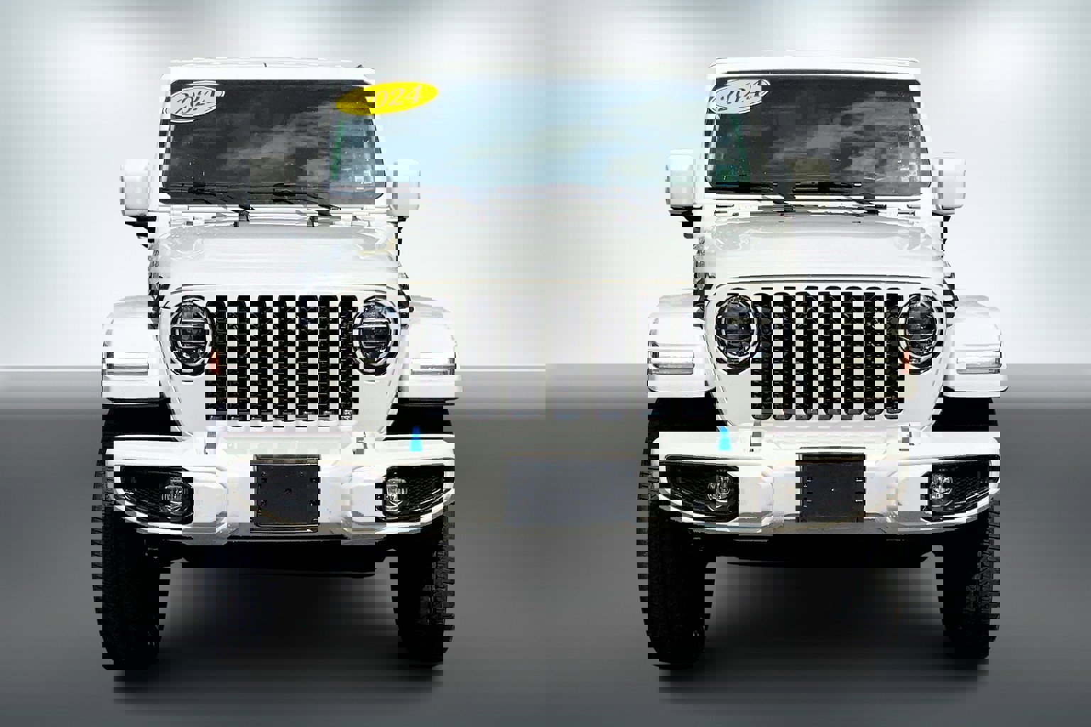 1C4JJXP62MW643229