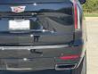 2027 Cadillac Escalade Platinum Sport SUV