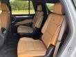 2026 Cadillac Escalade Luxury SUV