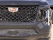 2026 Cadillac Escalade Platinum Sport SUV