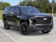 2026 Cadillac Escalade Platinum Sport SUV