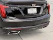 2026 Cadillac CT5 Premium Luxury Sedan