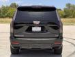 2026 Cadillac Escalade Sport SUV