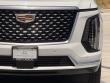 2025 Cadillac Escalade ESV Premium SUV