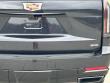 2026 Cadillac Escalade Sport SUV