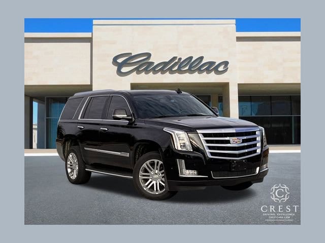 2020 Cadillac Escalade Base's photo