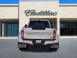 2022 Ford F-450 Platinum Truck