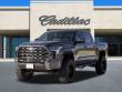 2023 Toyota Tundra 4WD Platinum Truck