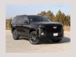 2026 CADILLAC Escalade Platinum Sport SUV