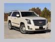 2015 CADILLAC Escalade Platinum SUV
