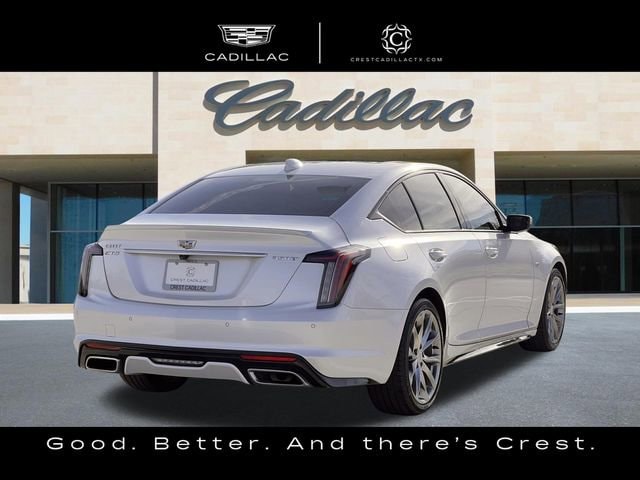 wuk74cill2koqf8m8oayiew4-image-1