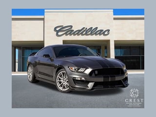 2019 Ford Mustang Shelby GT350 Fastback Coupe