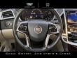 2013 CADILLAC SRX Luxury Collection Crossover