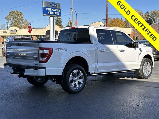 2023 Ford F-150 Platinum photo 3