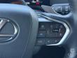 2024 LEXUS GX 550 Overtrail+ SUV