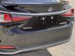 2019 LEXUS ES 300h Premium Sedan