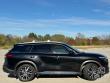 2024 INFINITI QX60 SENSORY SUV