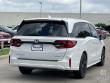 2025 Honda Odyssey Sport-L Van