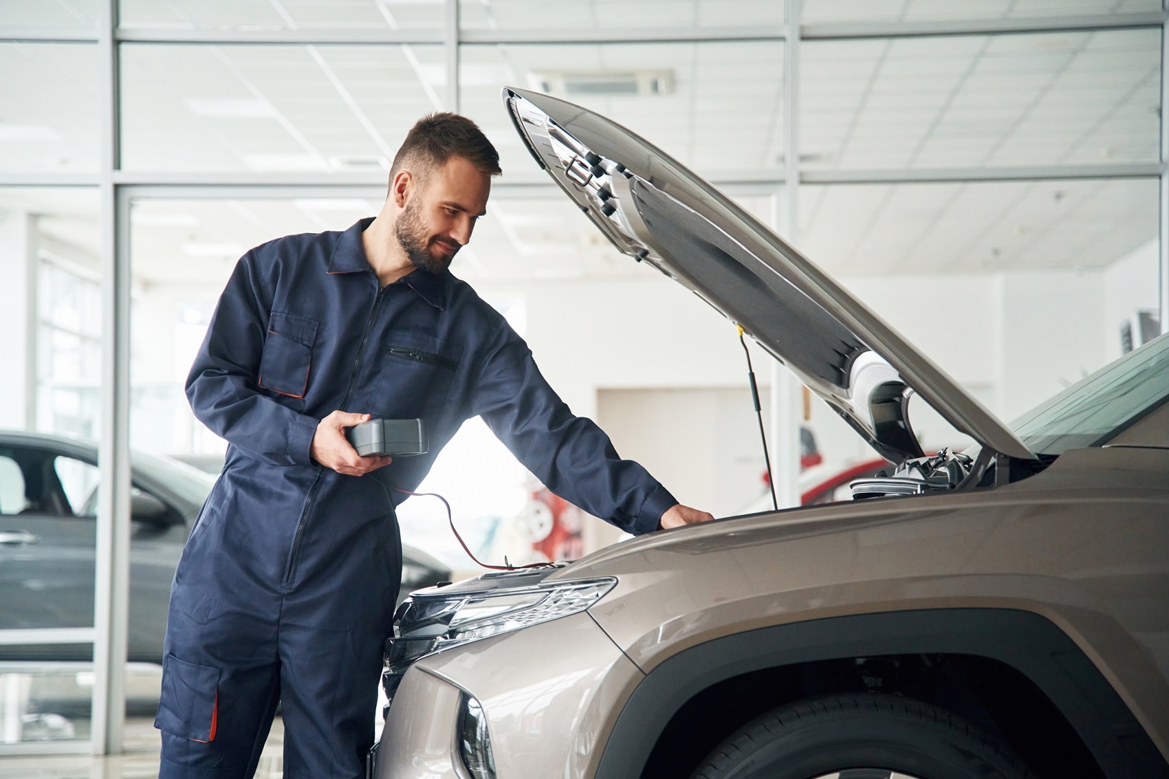 Types of Lincoln Service
