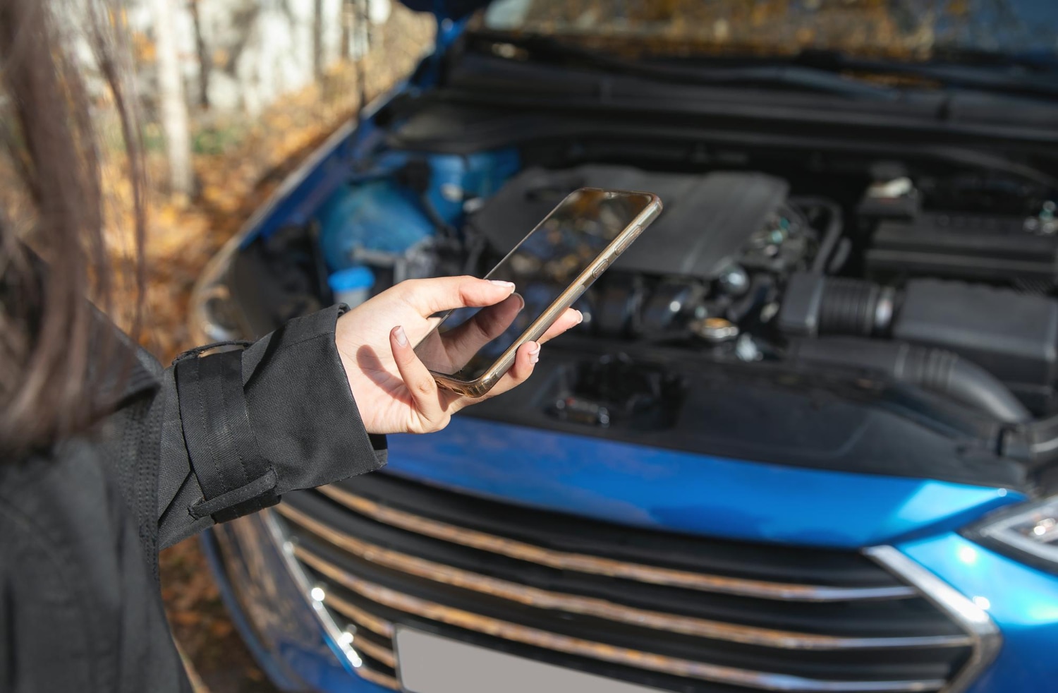 Lincoln Pickup & Delivery Service near Macomb MI