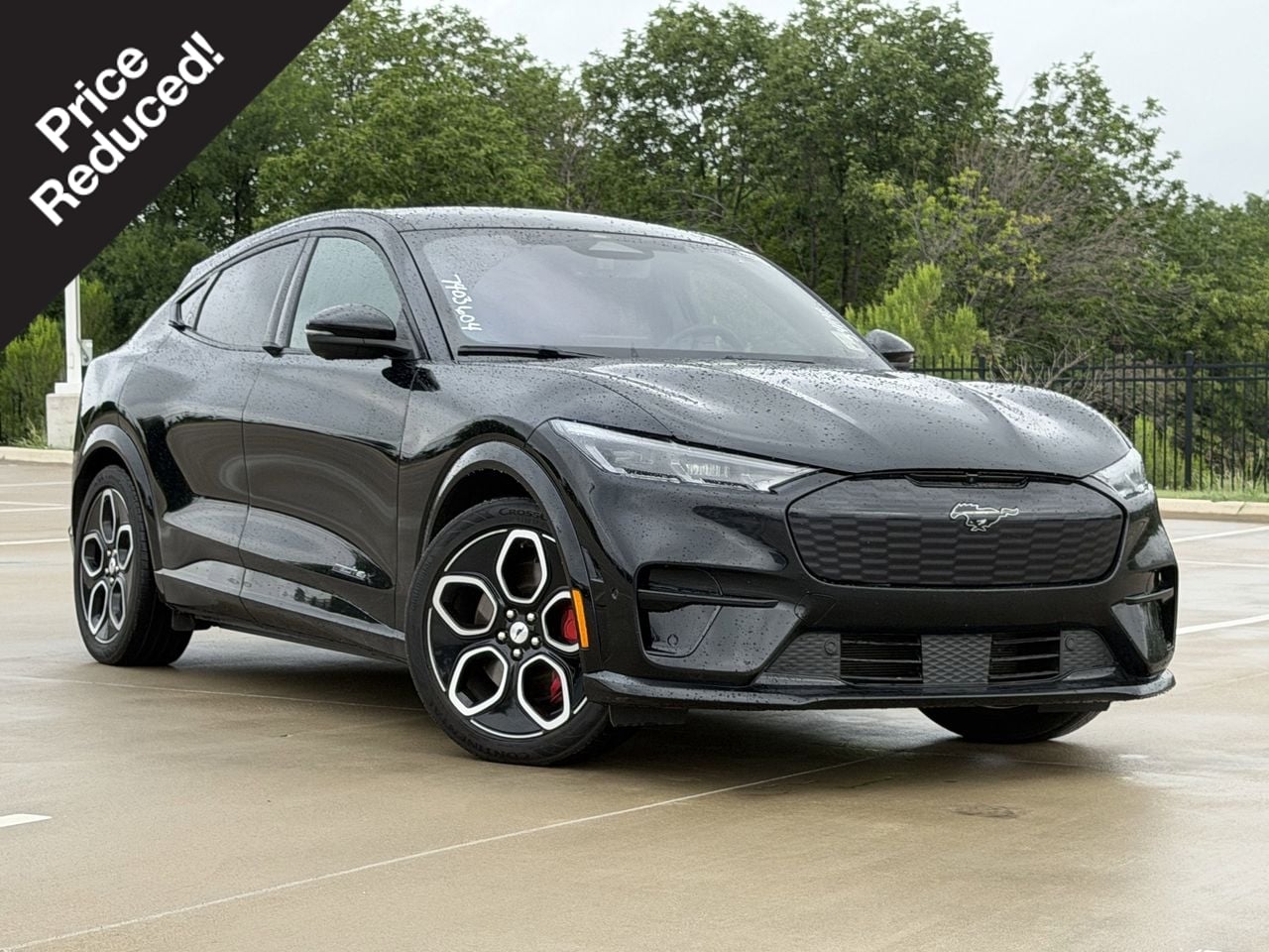 2023 Ford Mustang-Mach-e GT's photo
