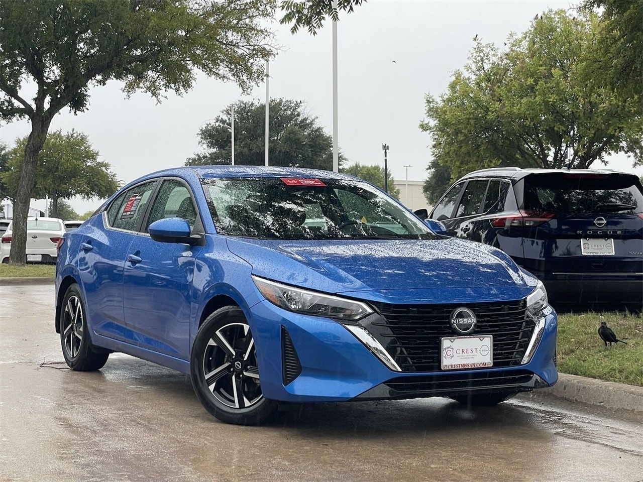 Certified 2024 Nissan Sentra SV with VIN 3N1AB8CV8RY231707 for sale in Frisco, TX