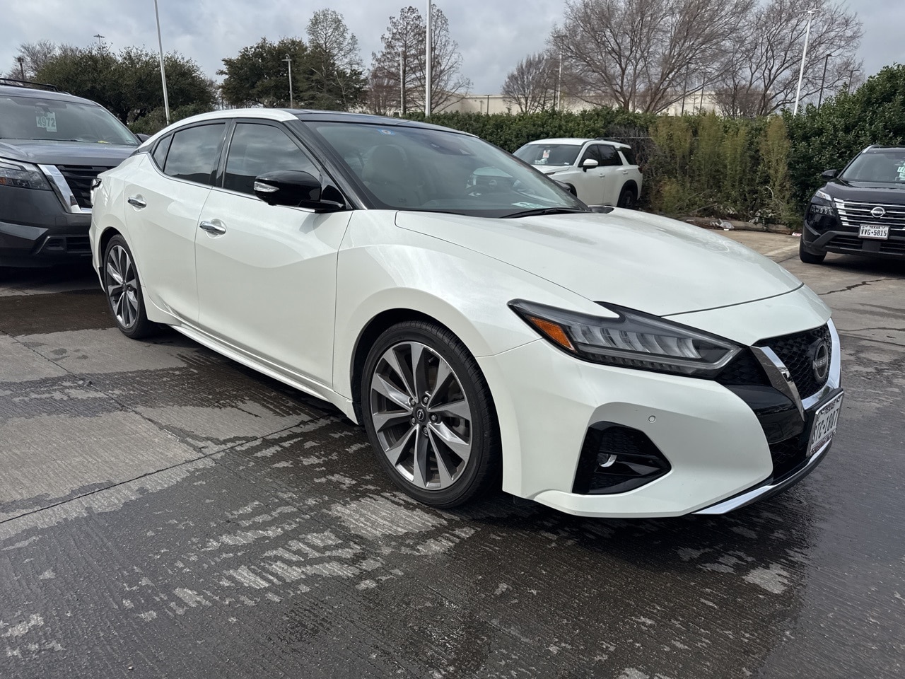 2023 Nissan Maxima Platinum FWD