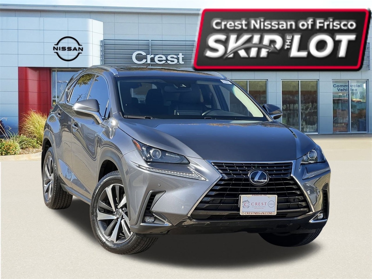 2019 Lexus NX Hybrid 300h's photo