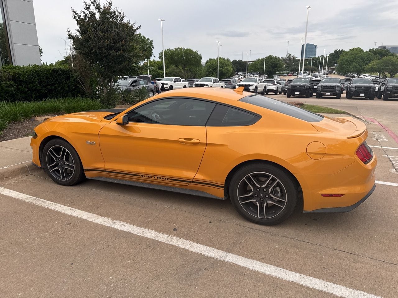 car-gallery-1