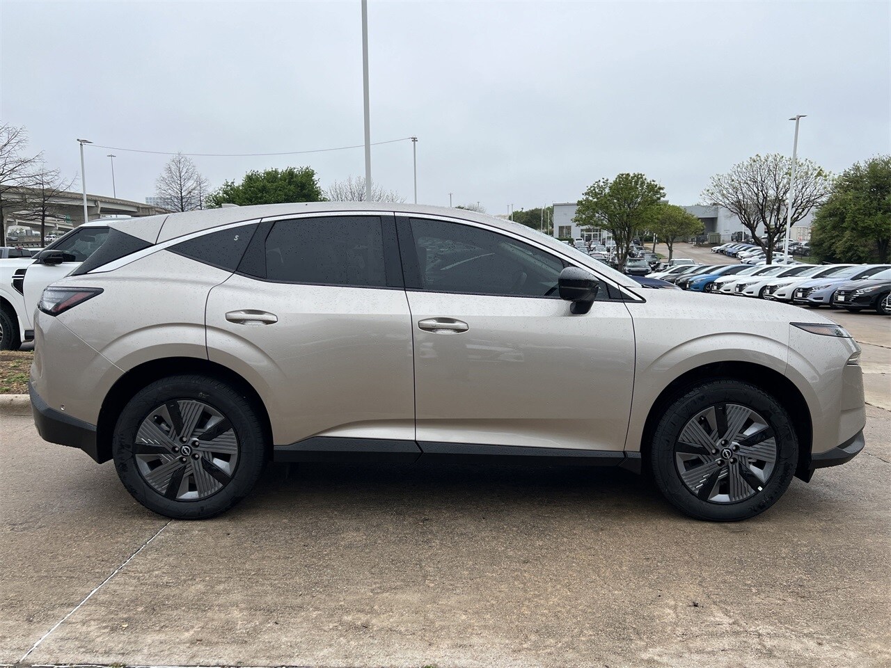2025 Nissan Murano SL photo 3