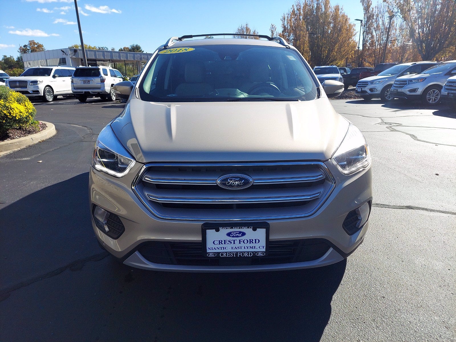 Used 2018 Ford Escape Titanium with VIN 1FMCU9J90JUD25224 for sale in Woodbridge, CT