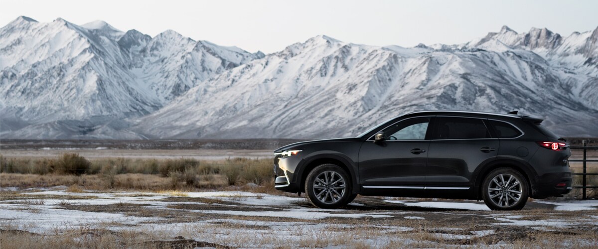 マイセン MXL ( エムエックスエル ) LSM-9 POP MAGENTA 送料無料 | サウンドハウス