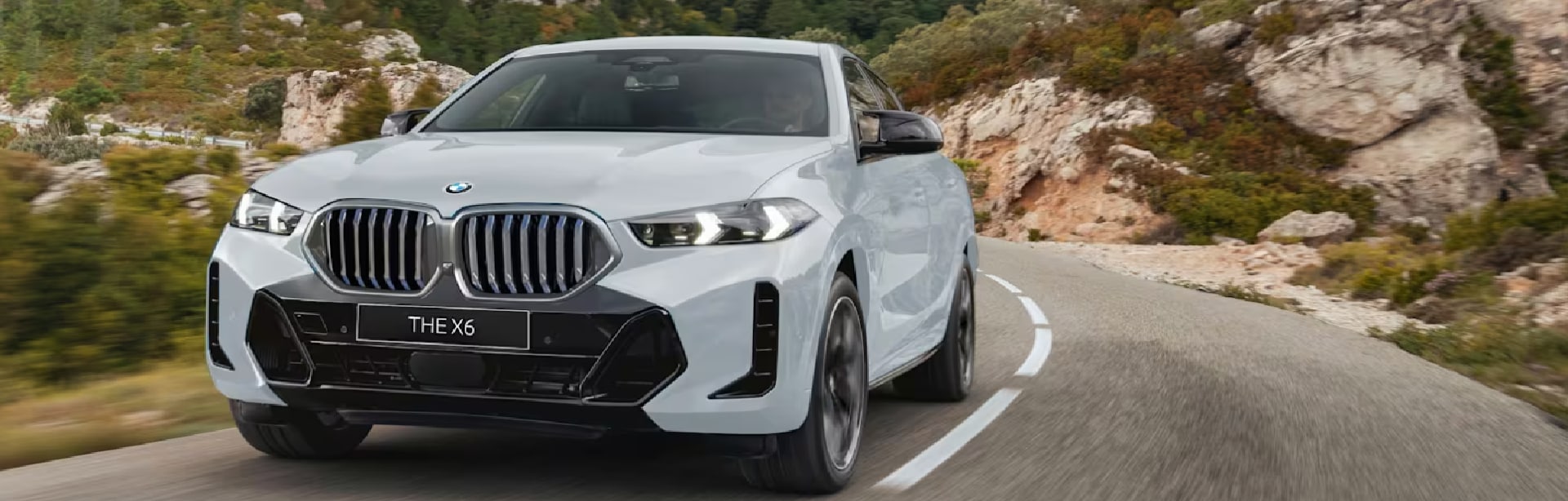 2026 BMW X6
