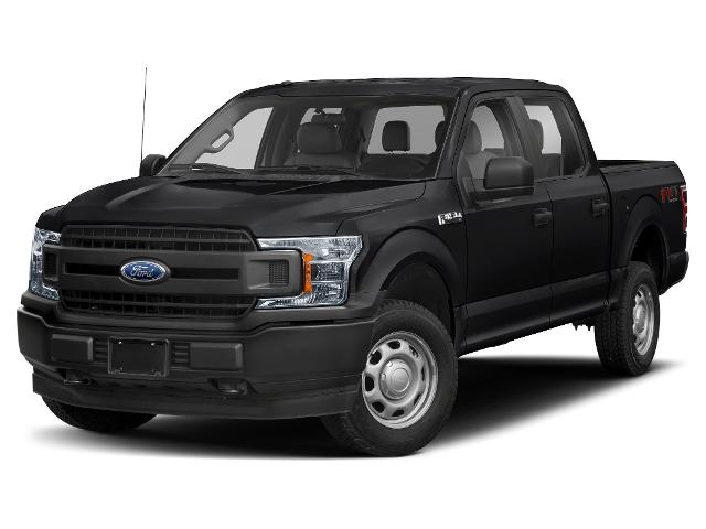 2019 Ford F-150 XLT's photo