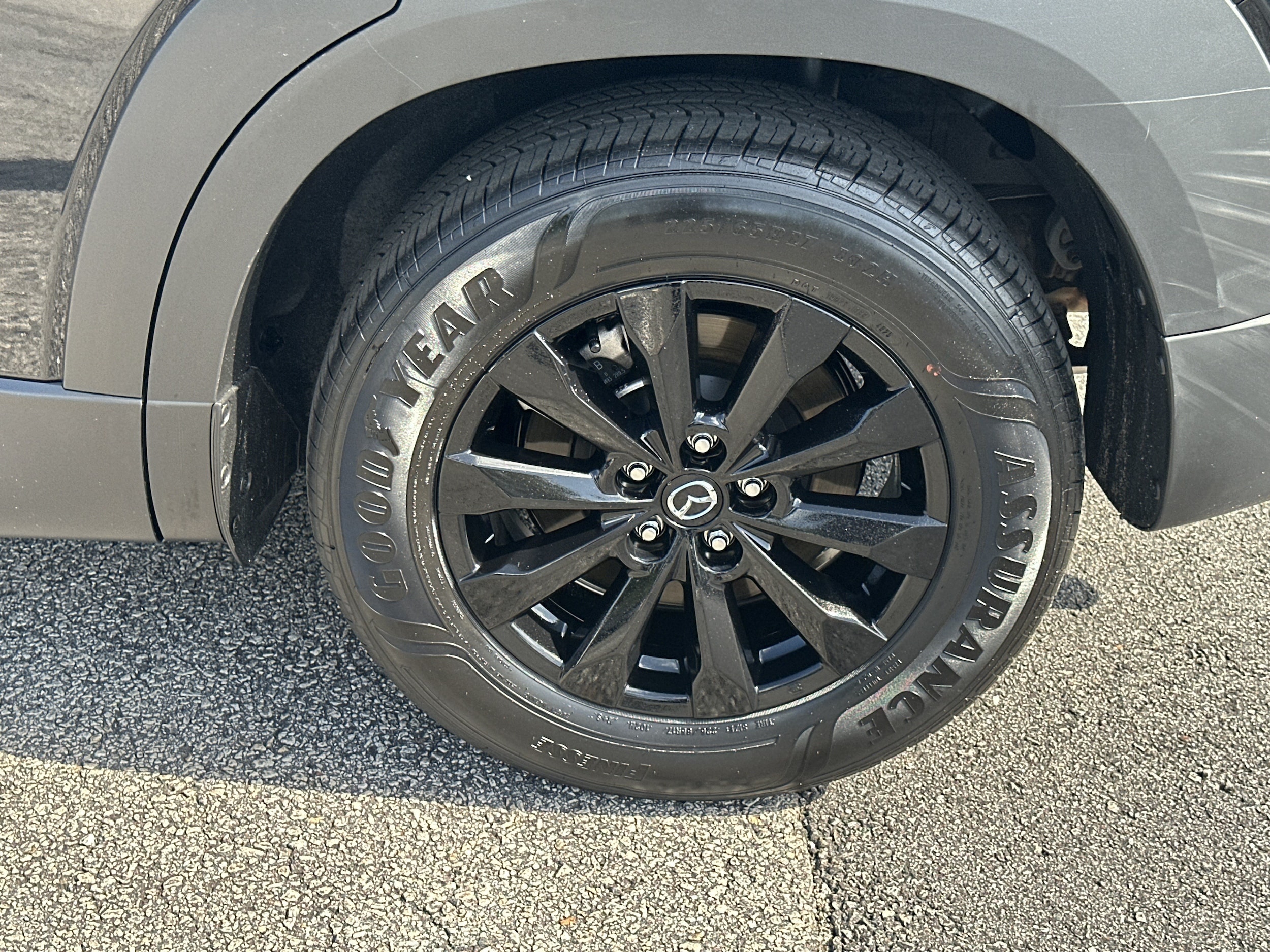Photo 19